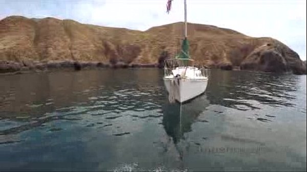 ���������� ���� ������� ���� � ���� � ���� � �������� �����