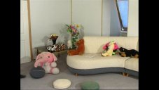 ������ ������� �� ���� ������� ��������� ���������, ������� �� ������ ������